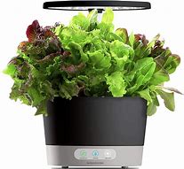 Image result for Aerogarden Harvest With Gourmet Herb Seed Pod Kit In Black - Aerogarden - Other Specialty Electrics - Black