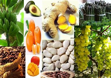 Image result for   vegetales peruanos comestibles