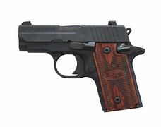 Image result for Sig Sauer P-320 Compact 45ACP
