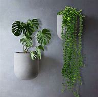 Image result for Wall Mount Plant Pots