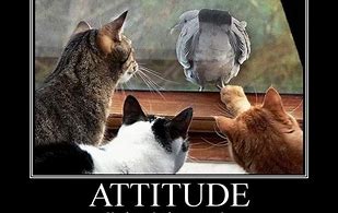 Image result for Funny Sayings About Attitude