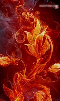 Image result for Flower Wallpaper for Kindle Fire HD 7