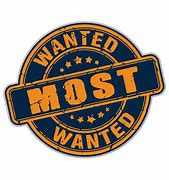 Image result for Most Wanted Person Poster