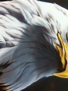Image result for Eagle Airbrush Art