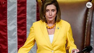 Image result for Pelosi in the House DVD