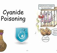 Image result for Cyanide Poisoning