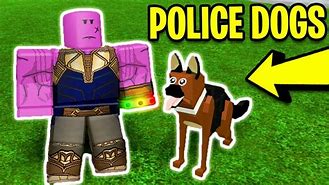 Image result for Roblox Mad City Dogs