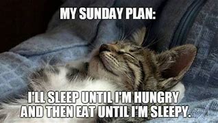 Image result for Hilarious Sunday Quotes