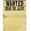 Image result for wanted dead or alive poster