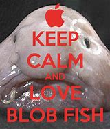 Image result for Keep Calm and Love Blob Fish