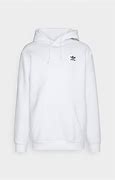 Image result for Essentials Hoodie PacSun