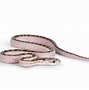 Image result for Nagercoil Famous Snakes