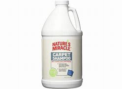 Image result for Best Pet Odor Carpet Shampoo