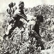 Image result for WWII Japanese War Atrocities