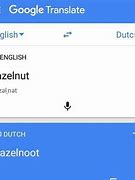 Image result for Google Translate English to Dutch