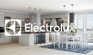 Image result for Electrolux Professional Range
