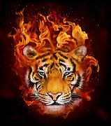 Image result for Fire Tiger Head