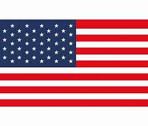 Image result for USA Flag Emblem