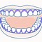 Image result for Clean Teeth with Water