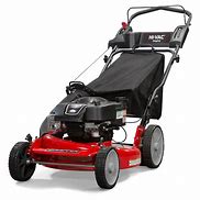 Image result for Snapper Push Lawn Edger