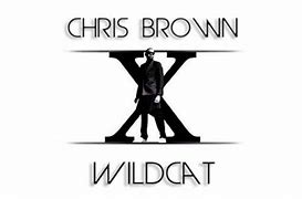 Image result for Chris Brown 22