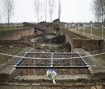 Image result for Auschwitz 2