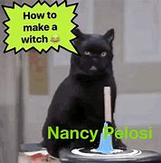 Image result for Nancy Pelosi Grandson