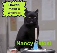 Image result for Nancy Pelosi Button