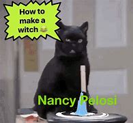 Image result for Nancy Pelosi Souvenir Pen