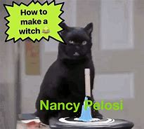 Image result for Nancy Pelosi Election