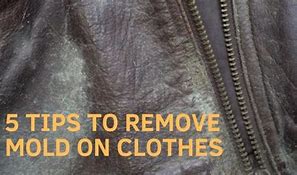 Image result for Remove Mold From Clothes