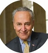 Image result for Schumer Head PNG