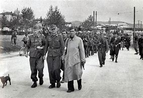 Image result for Yugoslavia Occupation WW2