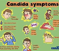 Image result for Candida in Gut