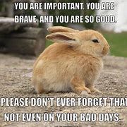 Image result for Funny Words of Encouragement and Strength