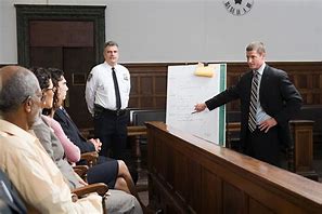 Image result for Trial Lawyer
