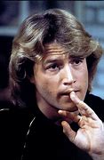 Image result for Bee Gees and Andy Gibb SGE