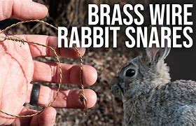 Image result for Rabbit Snare Kit