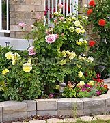 Image result for Making a Rose Garden