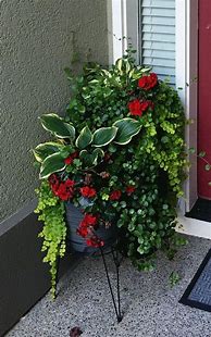 Image result for Black Outdoor Planters