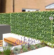 Image result for Artificial Ivy Hedge Leaf And Vine Privacy Fence Wall Screen, Stretchable Privacy Fence Wall Guardrail Decorative Leaves Blocking Plants For Outdoor