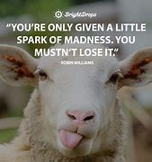 Image result for Inspirational Quotes Humourous