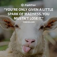 Image result for Hilarious Quotes to Live By