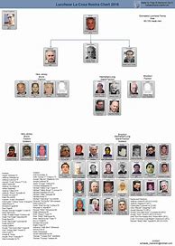 Image result for Colombo Crime Family Chart