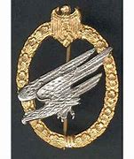 Image result for Fallschirmjager Air Assault Badge