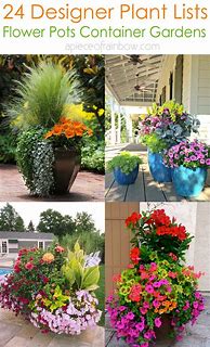 Image result for Flower Beds with Potted Plants