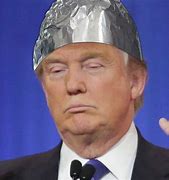 Image result for Tin Foil Hats Weirdo