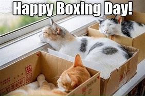 Image result for Boxing Day Funny