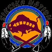 Image result for Blackfoot Indian Leaders