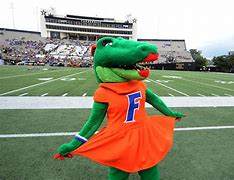 Image result for Florida Gators Mascot